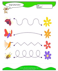 Çizgi Çalışma Sayfaları